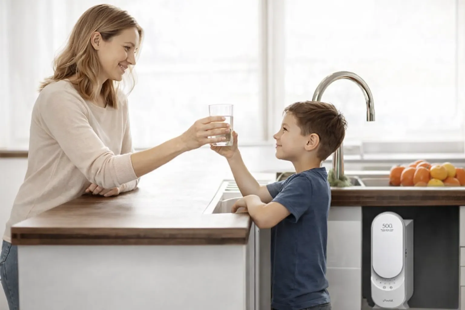 Frizzlife PX500-A Reverse Osmosis Water Filtration System Review – Pros and Cons